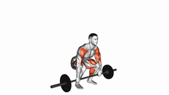 Barbell Clean Pull